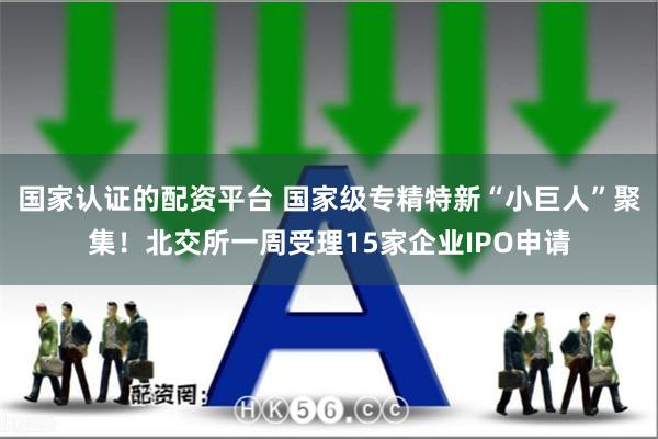 国家认证的配资平台 国家级专精特新“小巨人”聚集！北交所一周受理15家企业IPO申请