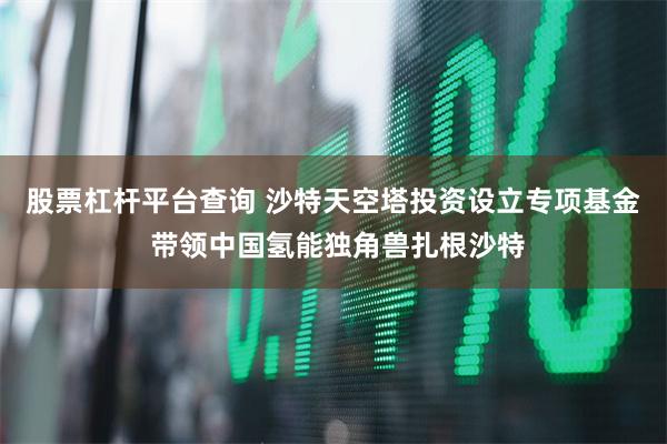 股票杠杆平台查询 沙特天空塔投资设立专项基金 带领中国氢能独角兽扎根沙特