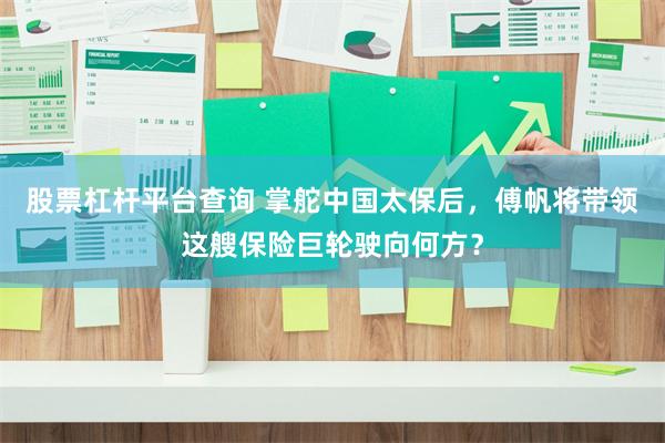 股票杠杆平台查询 掌舵中国太保后，傅帆将带领这艘保险巨轮驶向何方？
