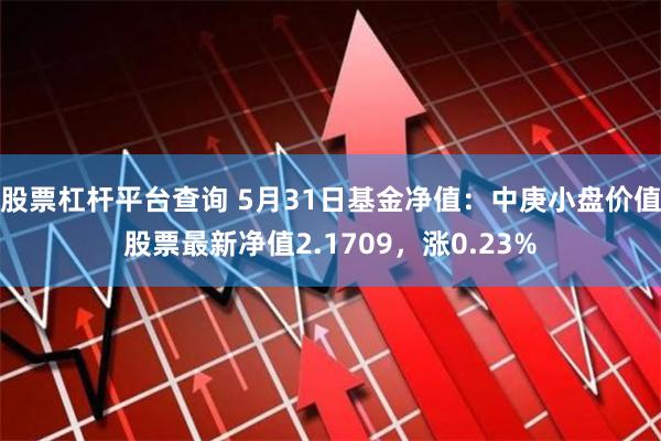 股票杠杆平台查询 5月31日基金净值：中庚小盘价值股票最新净值2.1709，涨0.23%