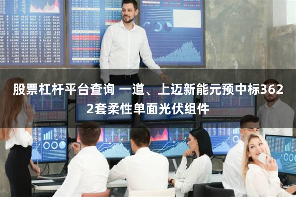 股票杠杆平台查询 一道、上迈新能元预中标3622套柔性单面光伏组件