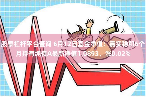 股票杠杆平台查询 6月12日基金净值：嘉实稳和6个月持有纯债A最新净值1.0893，涨0.02%
