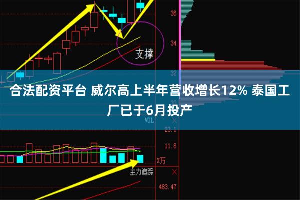 合法配资平台 威尔高上半年营收增长12% 泰国工厂已于6月投产