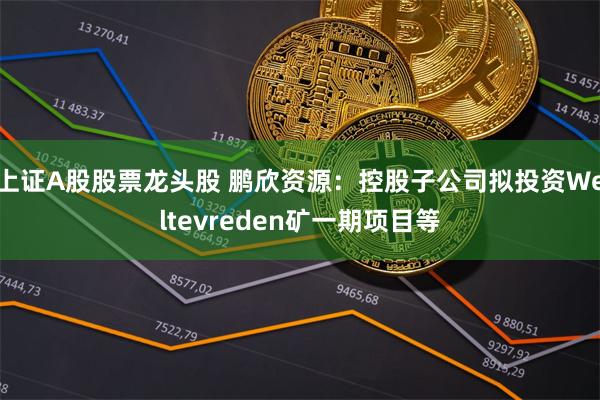 上证A股股票龙头股 鹏欣资源：控股子公司拟投资Weltevreden矿一期项目等