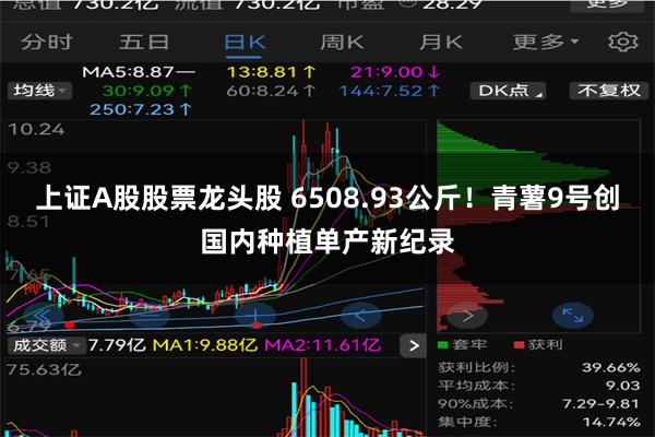 上证A股股票龙头股 6508.93公斤！青薯9号创国内种植单产新纪录