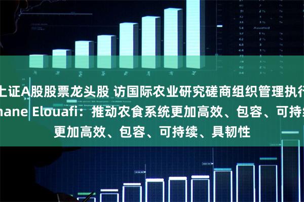 上证A股股票龙头股 访国际农业研究磋商组织管理执行主任Ismahane Elouafi：推动农食系统更加高效、包容、可持续、具韧性