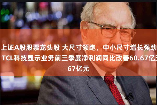 上证A股股票龙头股 大尺寸领跑，中小尺寸增长强劲，TCL科技显示业务前三季度净利润同比改善60.67亿元