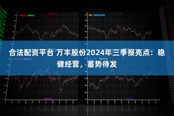 合法配资平台 万丰股份2024年三季报亮点：稳健经营，蓄势待发