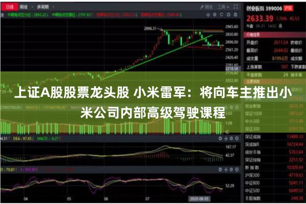 上证A股股票龙头股 小米雷军：将向车主推出小米公司内部高级驾驶课程