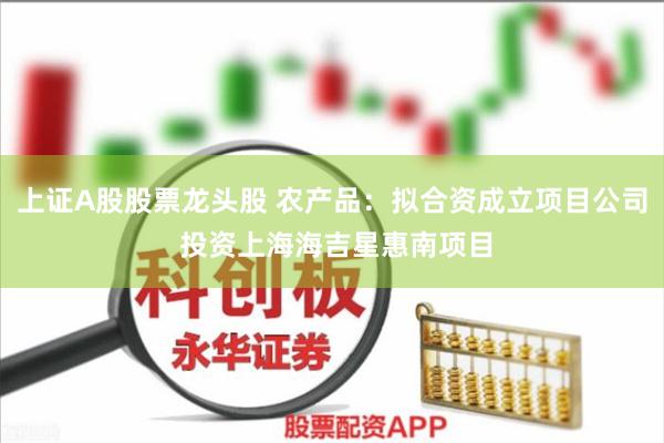 上证A股股票龙头股 农产品：拟合资成立项目公司 投资上海海吉星惠南项目