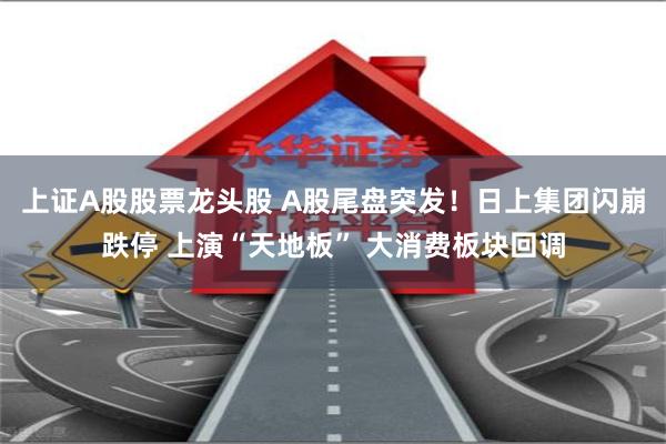 上证A股股票龙头股 A股尾盘突发！日上集团闪崩跌停 上演“天地板” 大消费板块回调