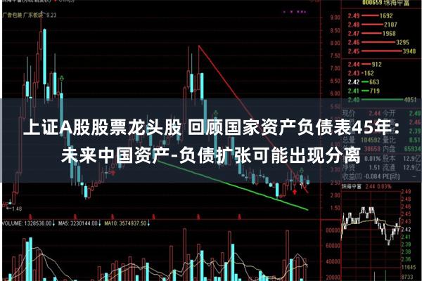上证A股股票龙头股 回顾国家资产负债表45年：未来中国资产-负债扩张可能出现分离
